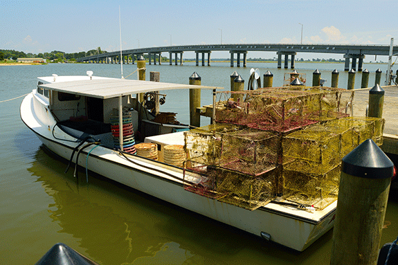 photo of bridge from Chance to Deal Island