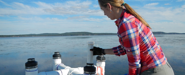 research fellow, SAV study. Photo, Debbie Hinkle