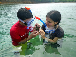 students in snorkeling gear looking at a shell-laguna grande