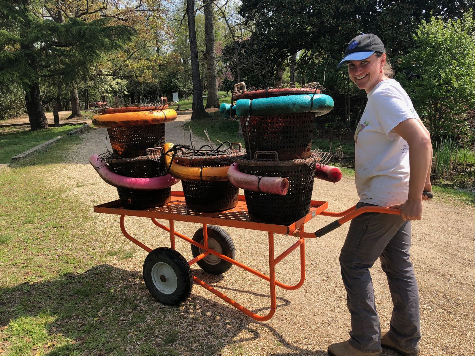 The mussels get a lift to the Anacostia with a volunteer.