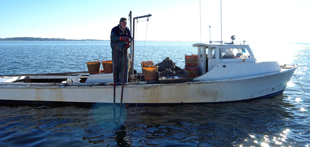 waterman tonging for oysters