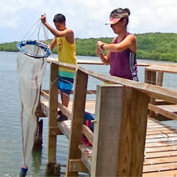 students at a dock with plankton net