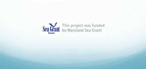sample powerpoint page with logo