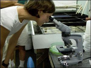 a student using a microsope to look at a slide from the core sample taken during the cruise