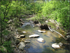 Little Patuxant River