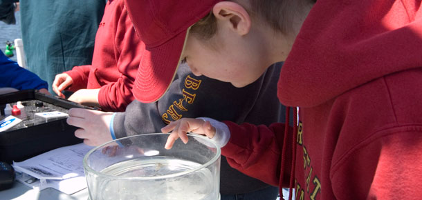 student looking into bowl with estuarine creature