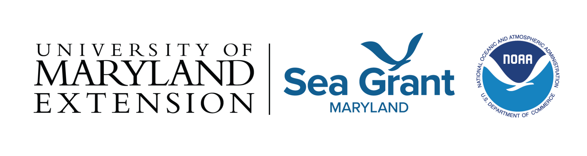 University of Maryland Extension and Maryland Sea Grant logos