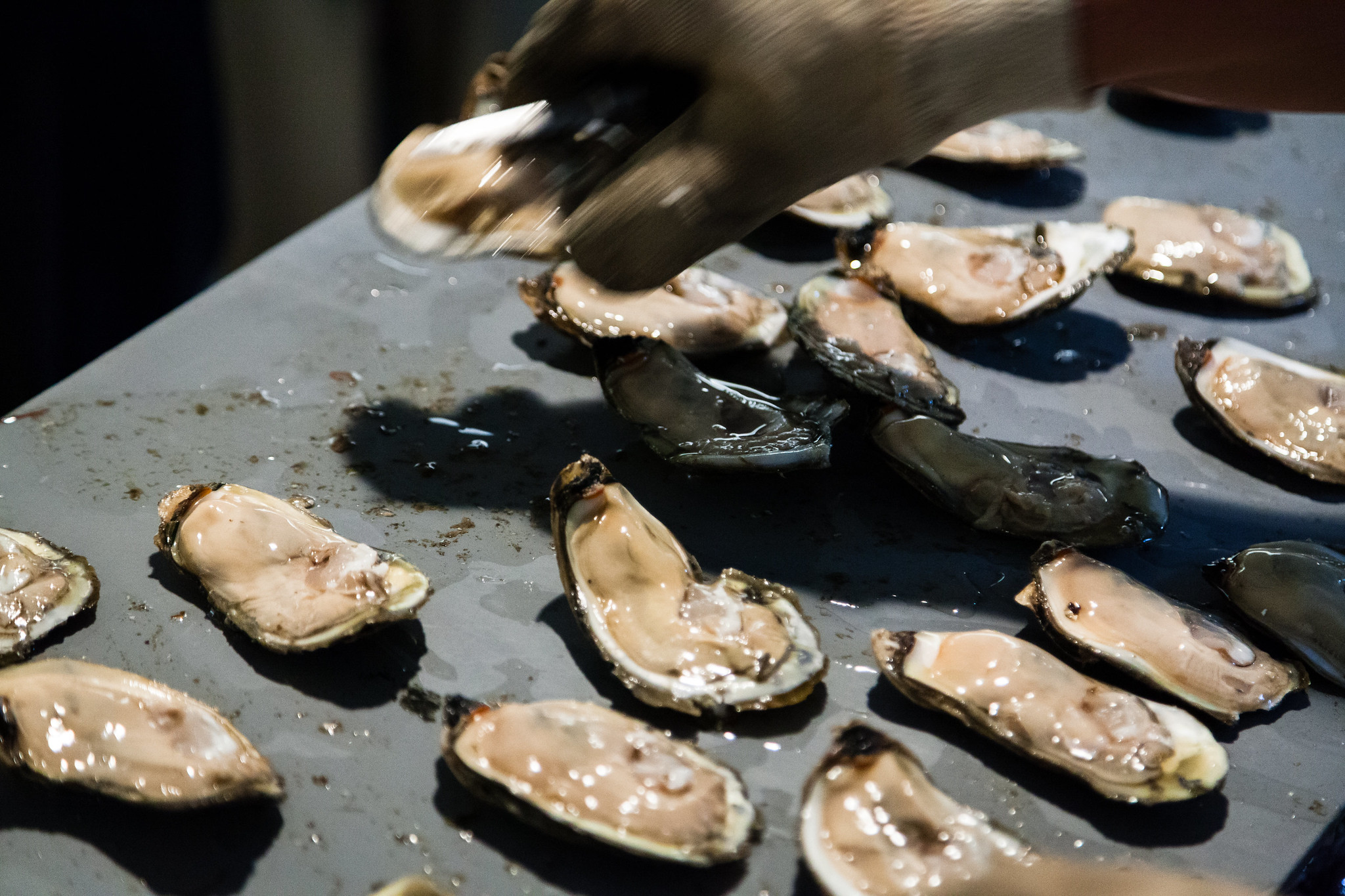 Nearly a dozen shuckedy oysyters lay on a table.