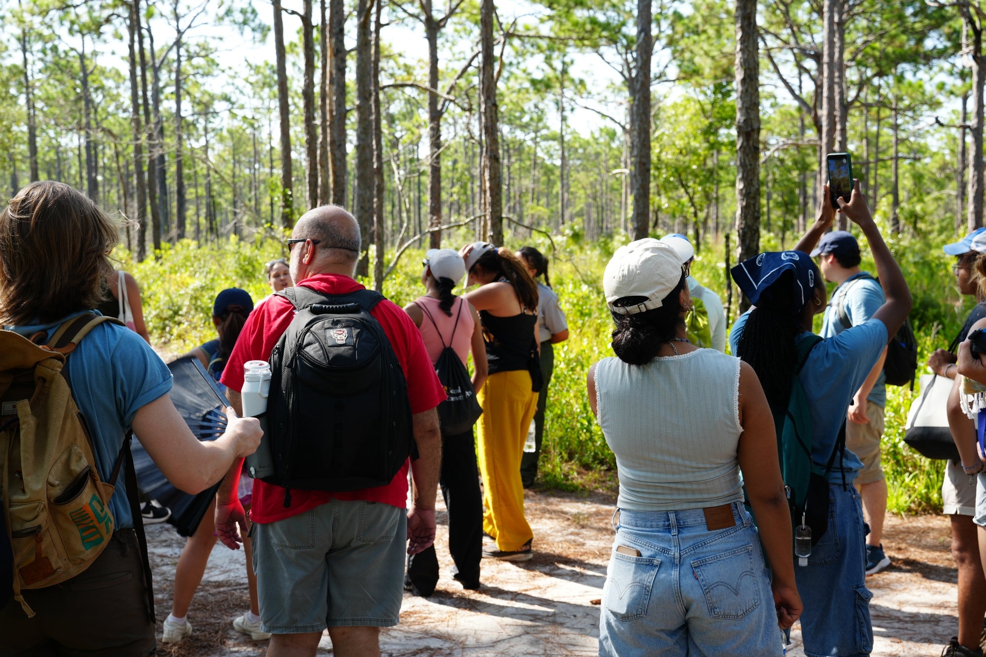 A group of young people walking along a trail in a sunny wooded area