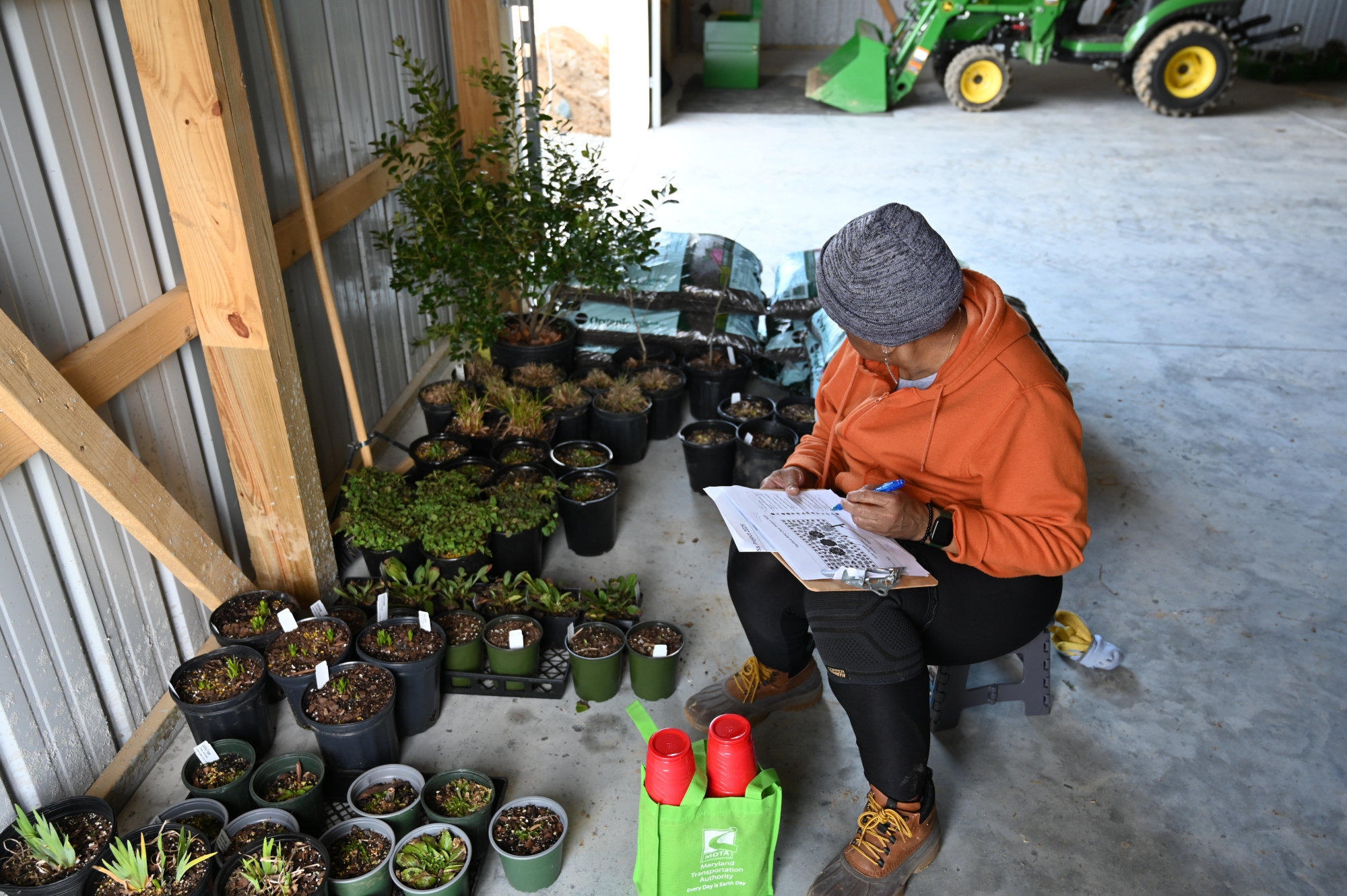 A woman with a clipboard counts plants lined up in rows in a barn.