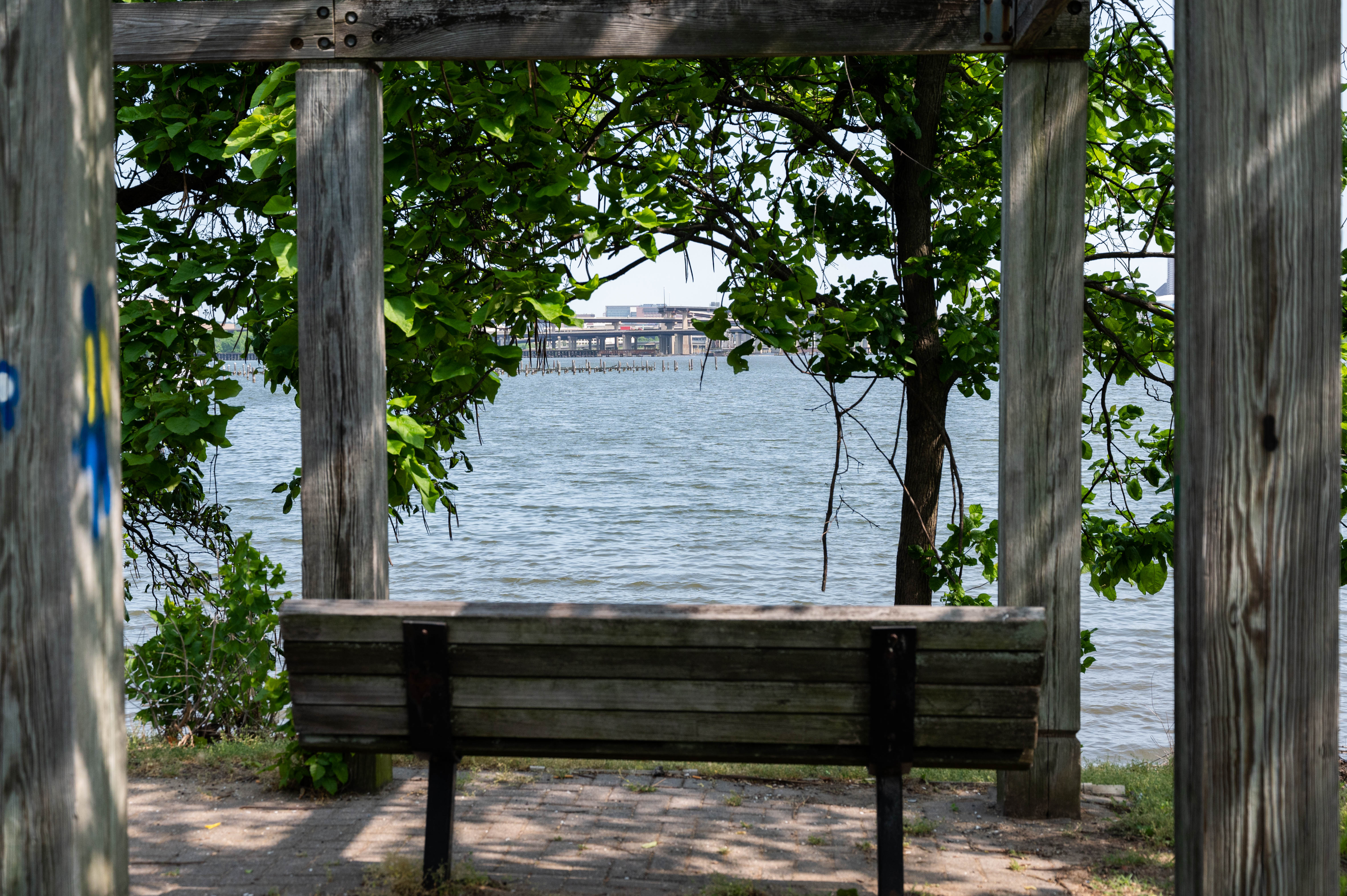 Bench facing a water view in Baltimore