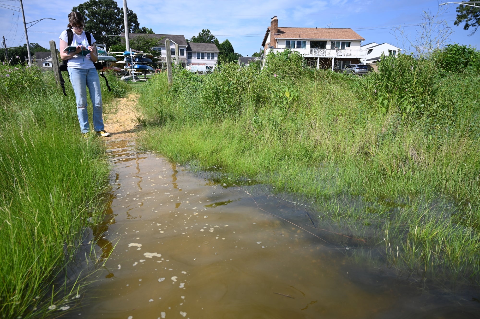 A woman stands near a shallow, narrow stream of water between two marsh grass beds