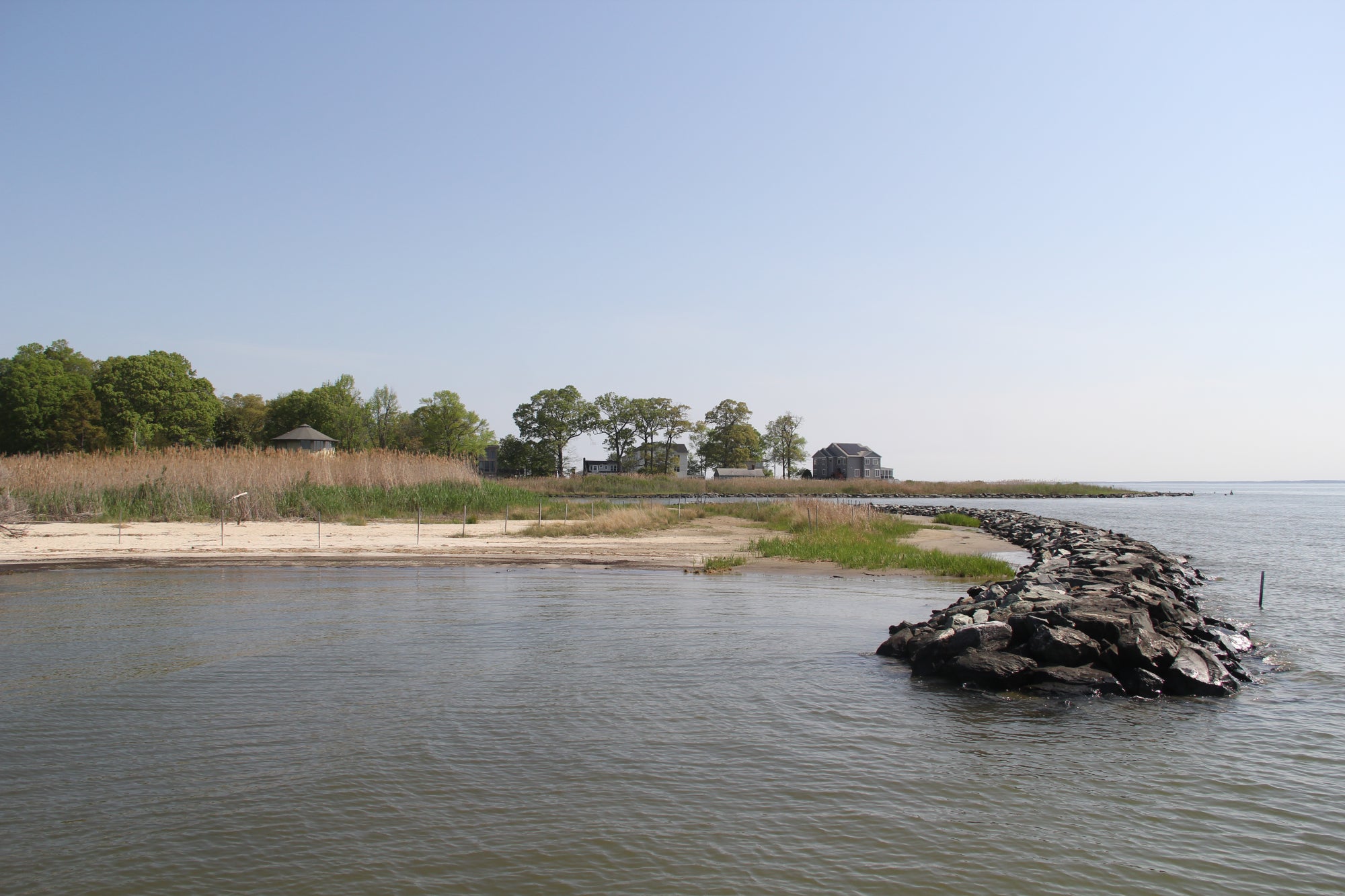 A living shoreline wetland with a sandy beach, rock sill, and marsh grasses along with trees and homes in the distance