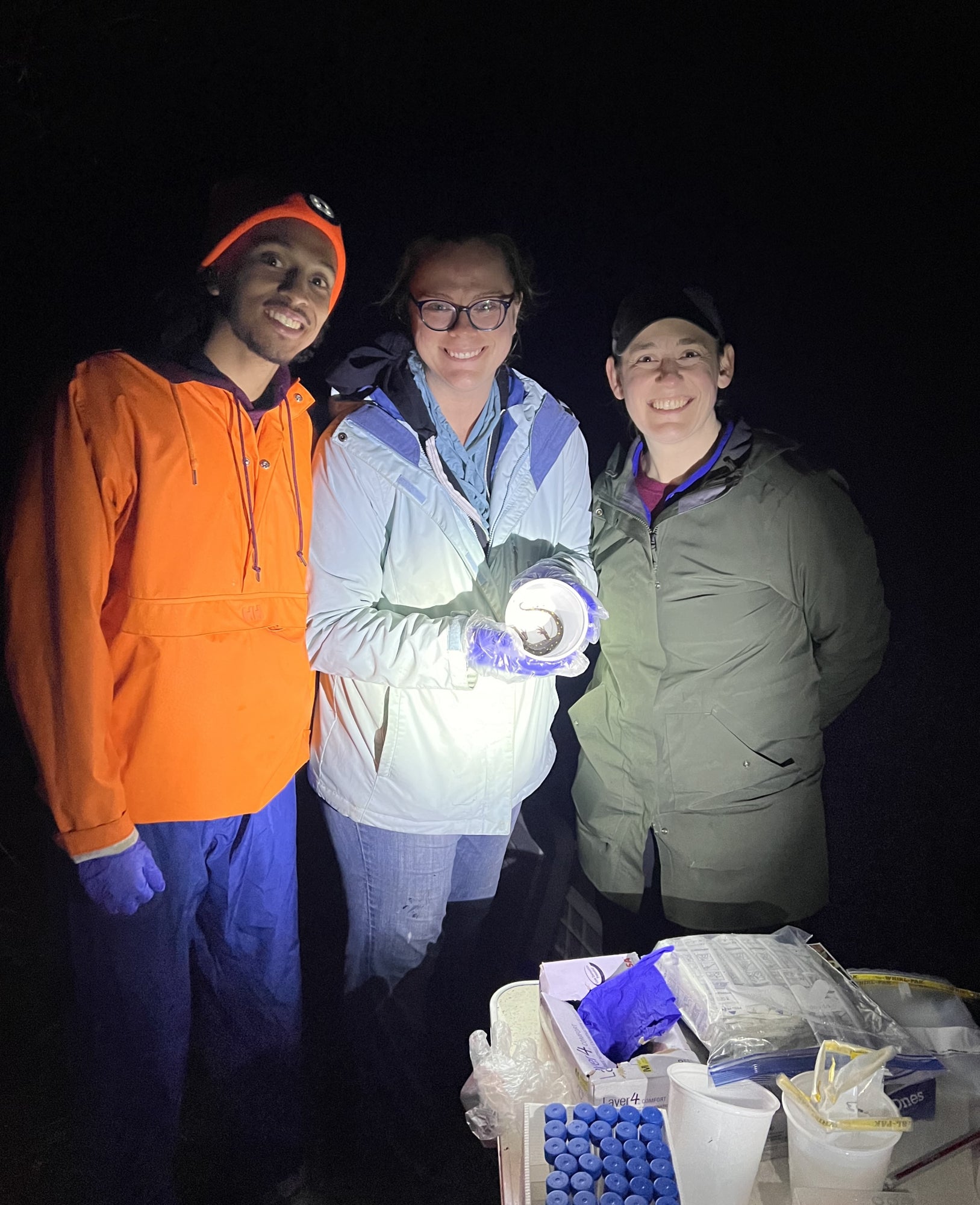 Three researchers illuminated by a light in a dark forest. One holds a spotted salamander in a cup and they pose for a photo near their fieldwork table