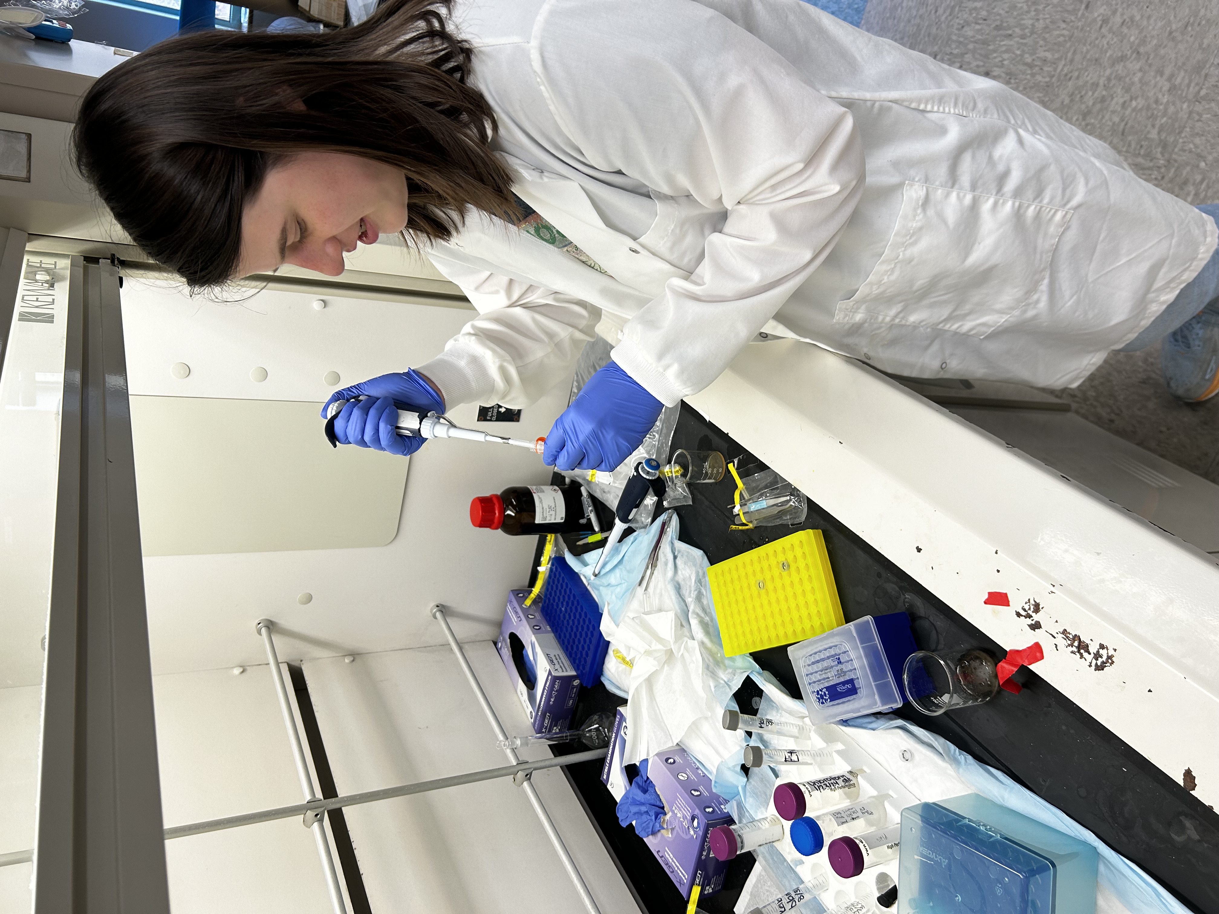 Shayna Keller pipettes DNA samples in a laboratory.