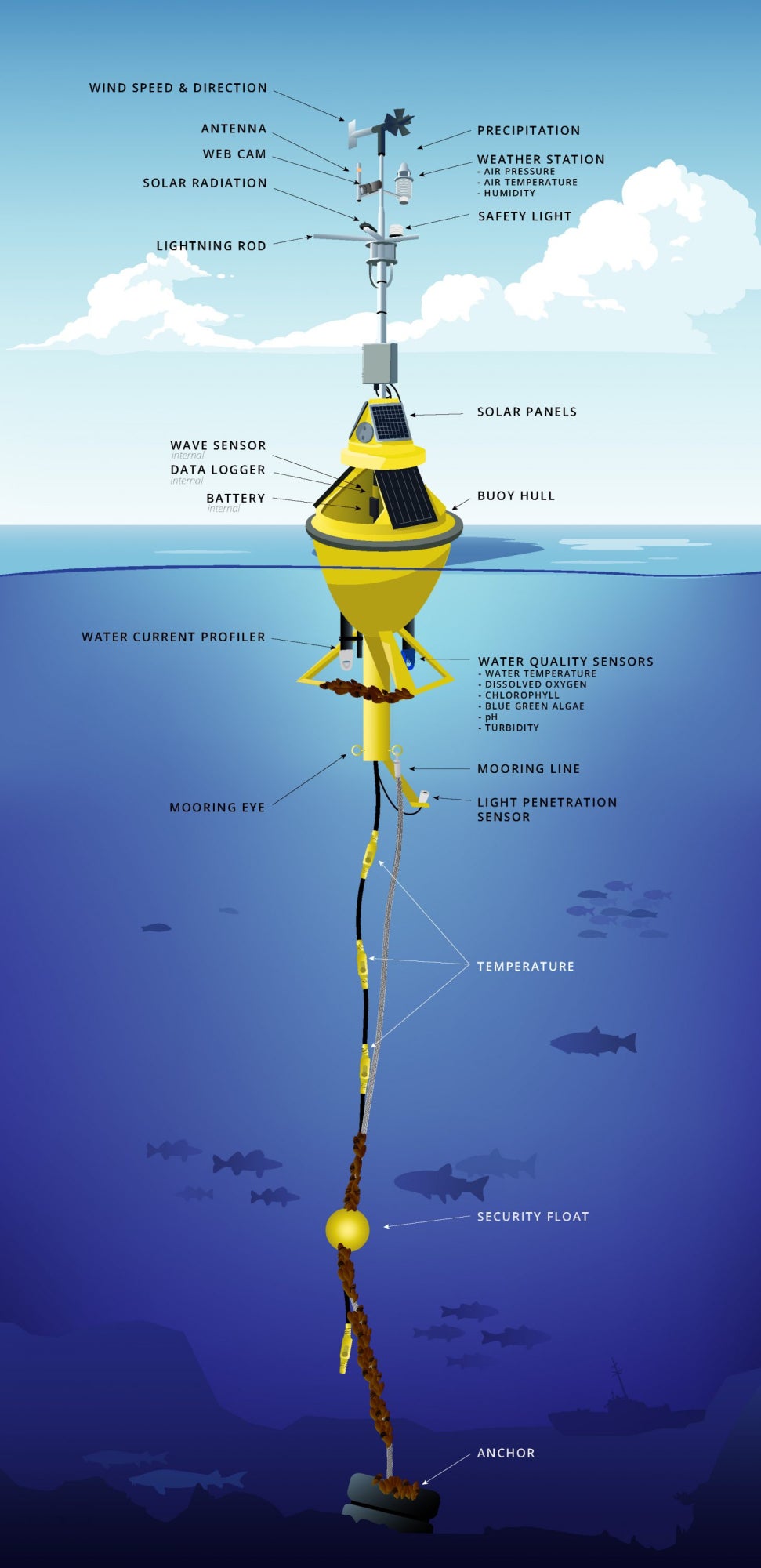 A graphic illustrating the components of a standard NOAA buoy used to monitor ocean conditions. The graphic shows the buoy's anatomy above and below the water