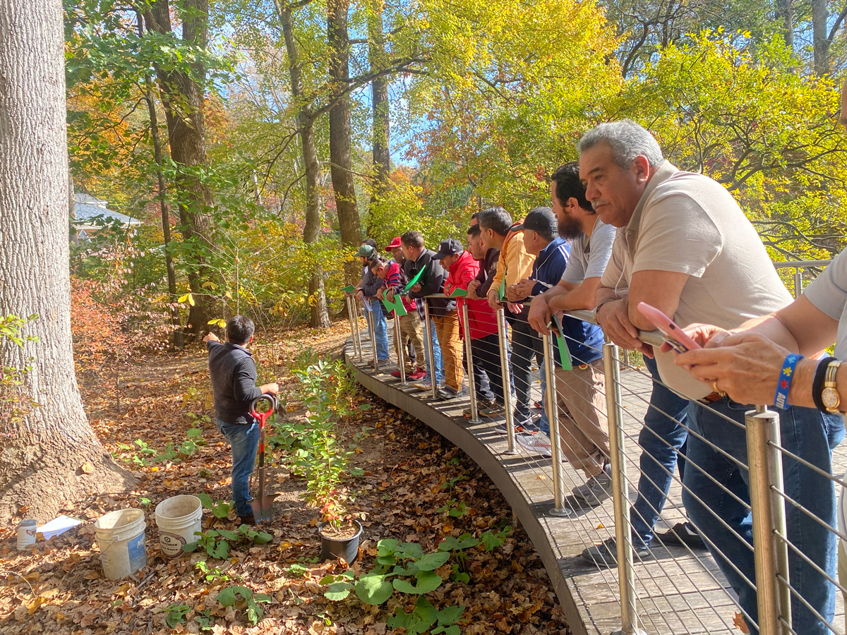 A group of landscaping professionals stands on a platform in the woods while a teacher stands in front of them on the leaf-covered ground and points to a tree