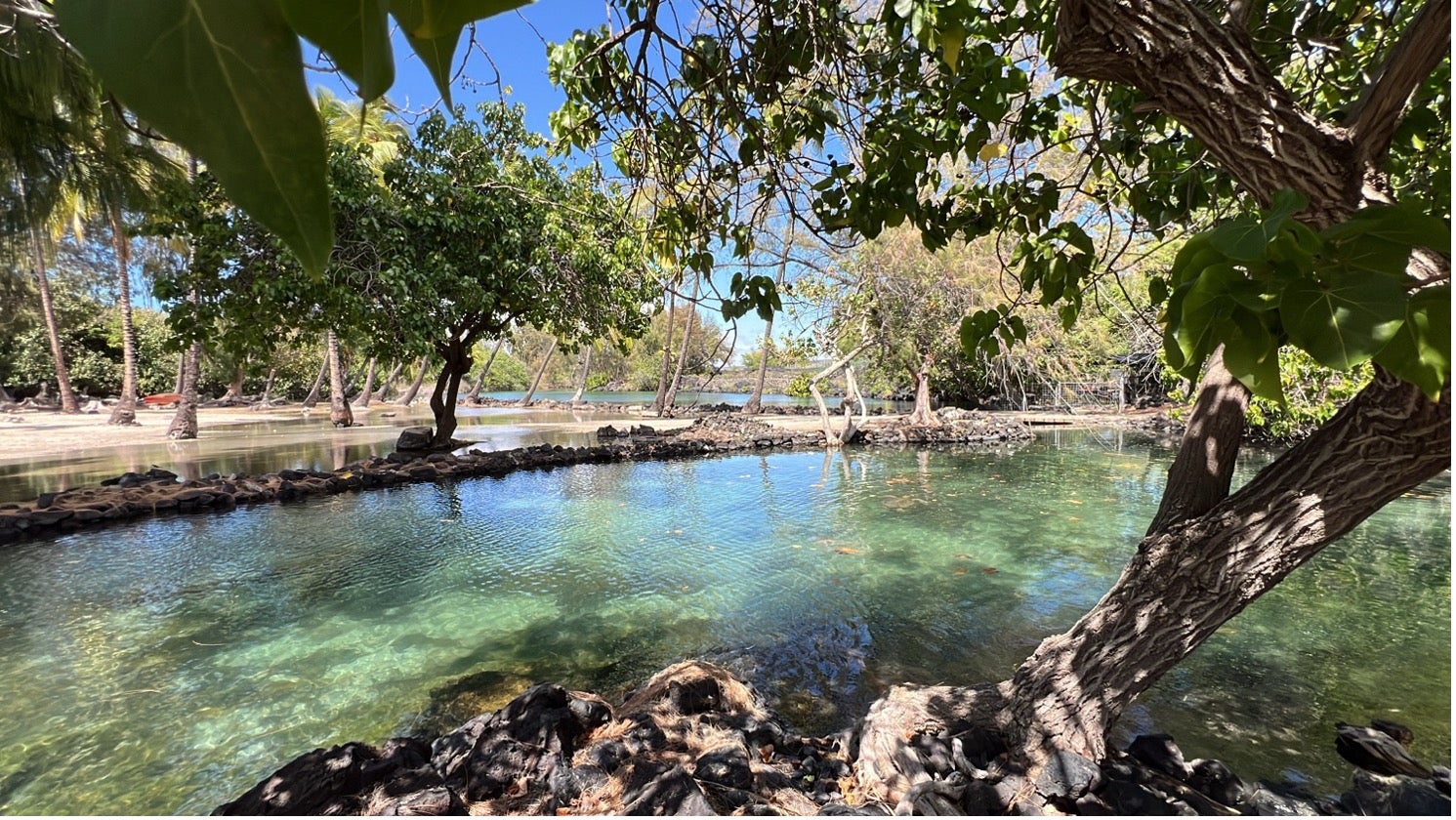 A restored loko iʻa fishpond at Kīholo Preserve on Hawai‘i Island