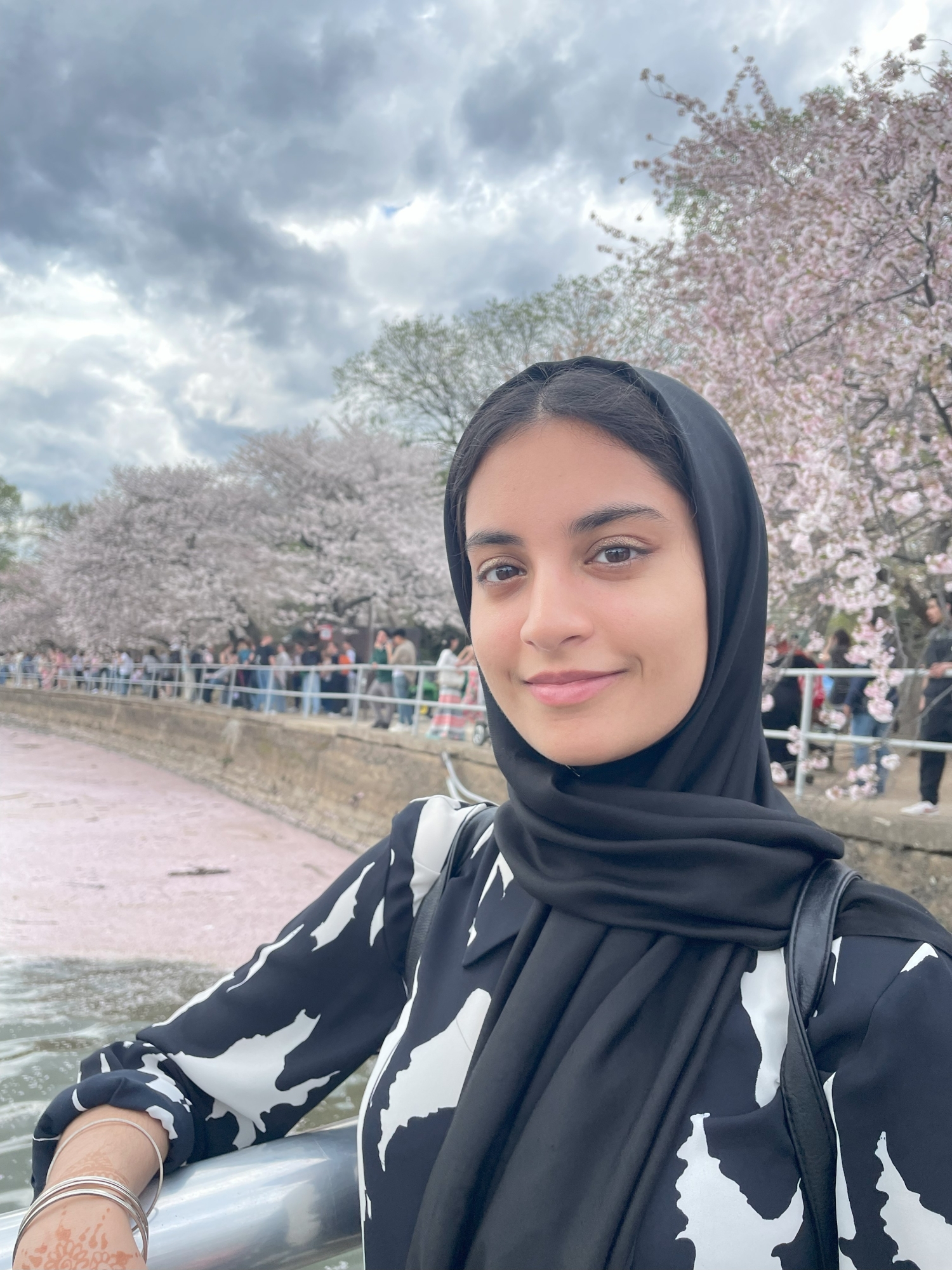 A young woman poses in front of Washington DC's cherry blossom trees in peak bloom