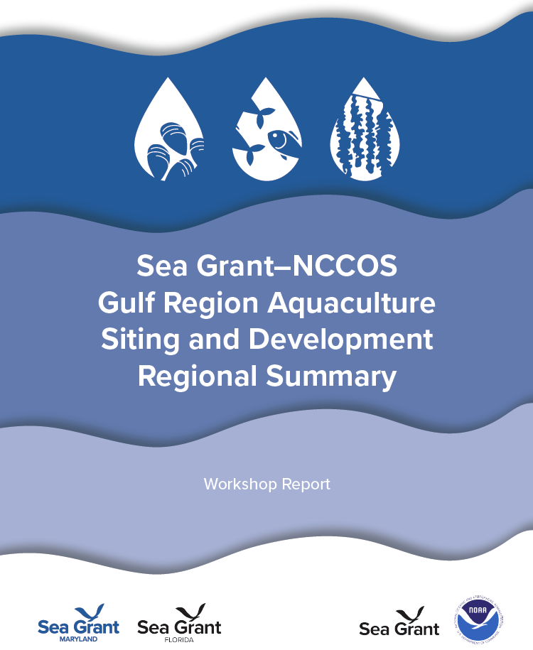 Front cover of the Gulf Regional Summary Report