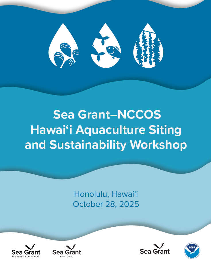 Front cover of the Hawaiʻi workshop briefing book