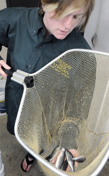 Cat Frederick earned her master’s at Kentucky State University, where her thesis focused on the diets of largemouth bass.