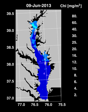 Bay algae growth since June 2013