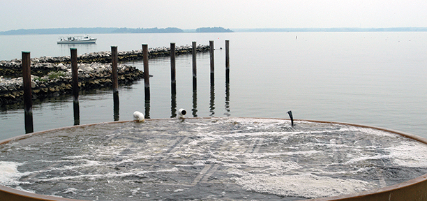 Oyster tanks