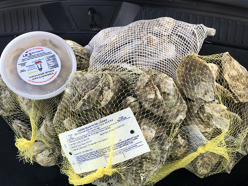 Image of three bags of fresh oysters and a pint of shucked oysters against a black background