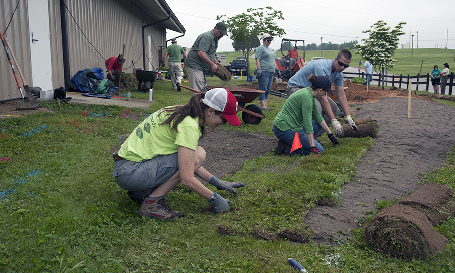 During a storm, water flows in a sheet over the turf once it becomes saturated. So the stewards incorporated a berm into their design to steer the runoff into the rain garden. Maryland Sea Grant Extension Watershed Restoration Specialist Jennifer Dindinger (foreground), helped lay sod on the berm, alongside steward trainees Janine Antoshak and Brian Richardson (to Dindinger’s left). Photo: Daniel Pendick