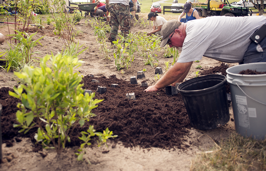 The team covered the exposed topsoil between the plants with mulch to stabilize the soil, prevent erosion, retain moisture, and make the garden more attractive. Photo: Daniel Pendick