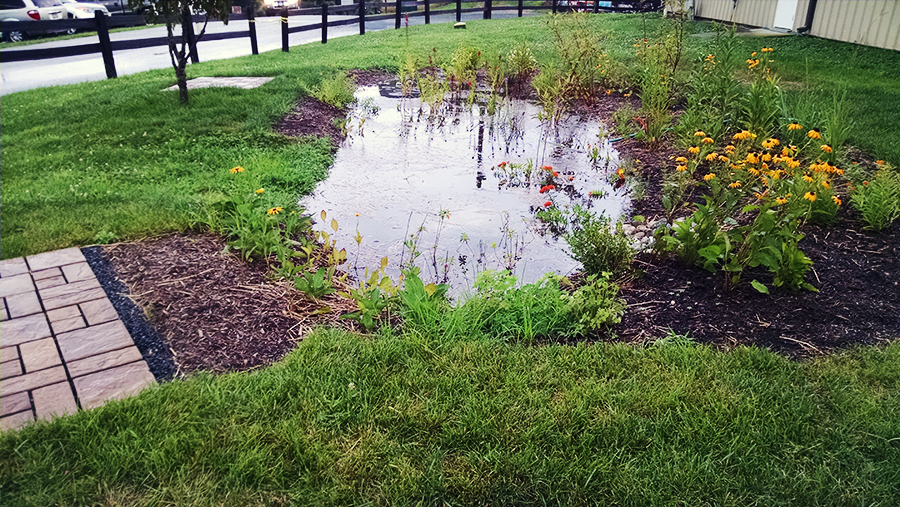 After installation, the garden’s capabilities were put to the test after a heavy rainstorm. Standing water takes about 12 to 24 hours to drain into the soil below. Photo: Eric Buehl