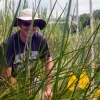 mozdzer sitting among the grasses