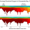 graphic of Bay "dead zone"