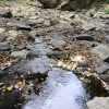 photo of Maryland stream