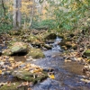 photo of Maryland stream