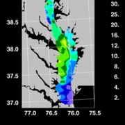 Satellite image of algae in the Bay