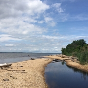 Image of the Chesapeake Bay coastline