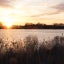 A winter sunset over the Wye River, with marsh grasses in the foreground