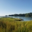 A living shoreline in Talbot County, Maryland.