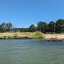 Wetlands grow in front of a sandy beach in Maryland.