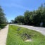 A grassy drainage ditch along a residential road