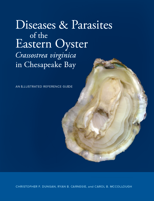 The Eastern Oyster cover