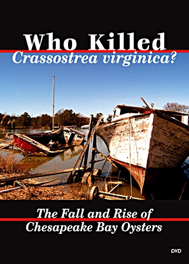 Cover of Who Killed Crassostrea virginica : The Fall and Rise of Chesapeake Bay Oysters video showing a picture of derelict fishing boats near shore.