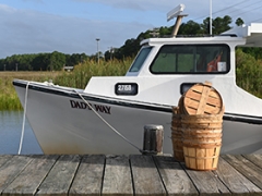 A workboat at dock in Dorchester County. Photo: Lisa Tossey / MDSG  
