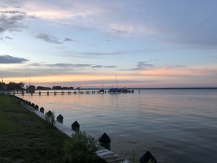 The Choptank  River is one of many waterways in the Chesapeake Bay watershed that anadromous fish during spawning seasons. Anadromous fishes spend most of their adult life in the ocean and travel upstream to their natal streams to spawn. Photo credit: Chelsea Fowler