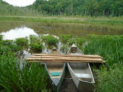 Transporting boardwalks for wetland study by canoe. Photo credit: Eric Buehl/MDSG Extension