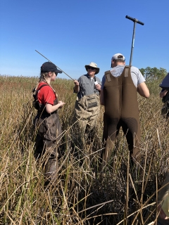 3 people in waders standing among reeds in a wetland. A female looking at a man pointing at the landscape around them with a staff, saying something. The third man is standing with his back to us, sticking a long pole into the wet ground.