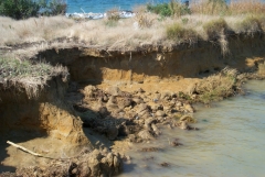 Shoreline erosion