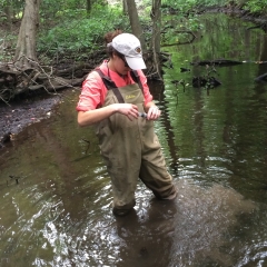 Sarah collecting a stream sediment core for grain size analysis